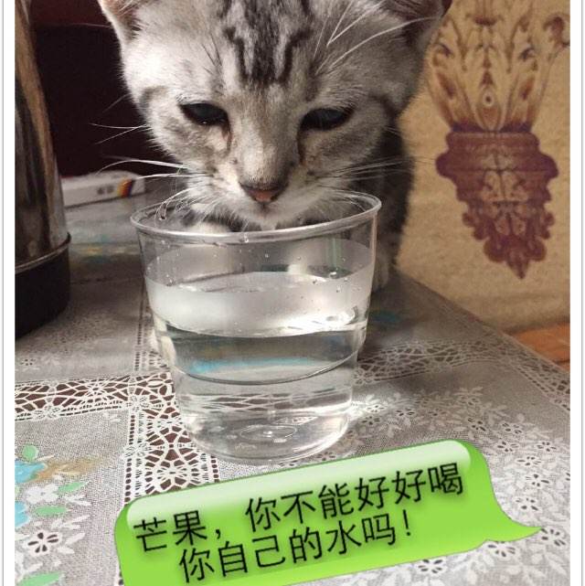 亚拉巴马州哪里有卖